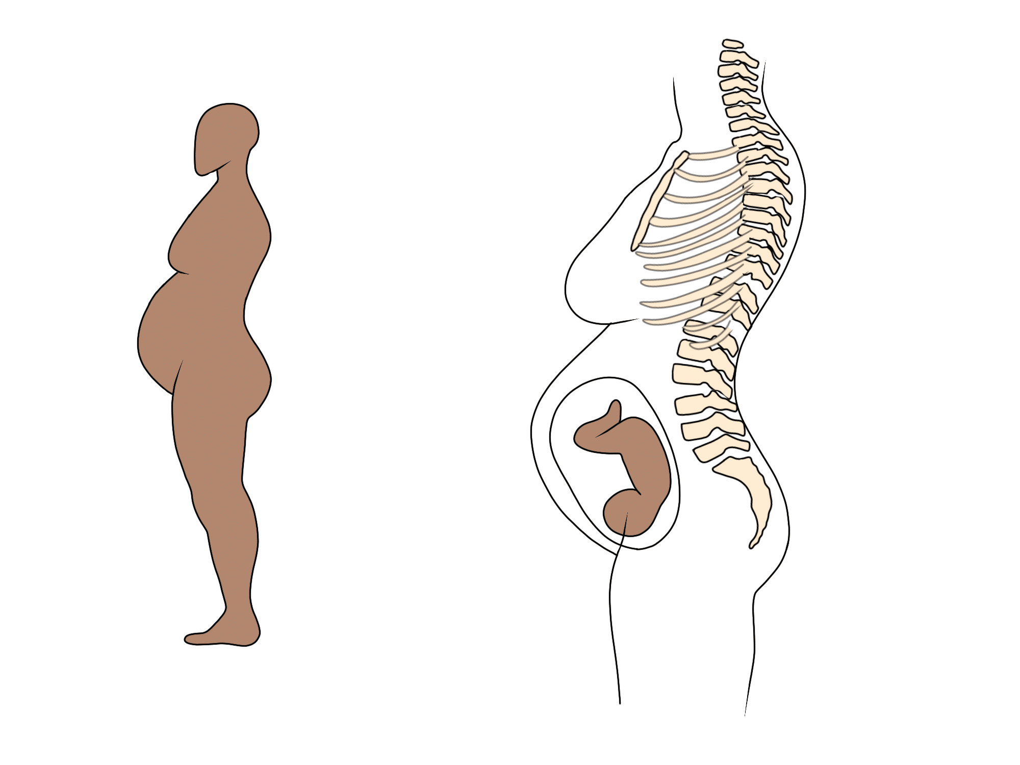 Posture by Trimester