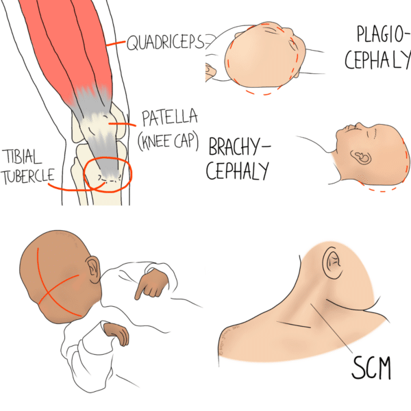 8 Paediatric Topic Images